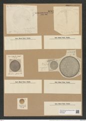 Coscinodiscus africanus var. wallichianus Grun. (de-Toni-Nr.: Genus 202, Species 5003) Zeichnungen Sammlung Grunow Nr. 8719 (NHMW-BOT-W0378293)